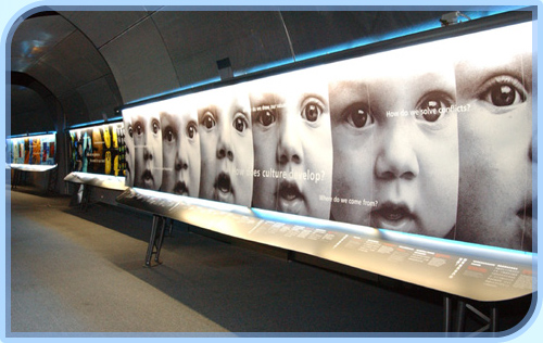 「科學隧道」展覽介紹最新的科技成就。 