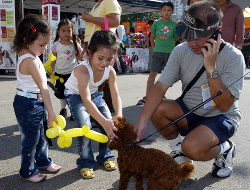 宠物嘉年华以「开心狗狗同乐日」为活动主题，深受喜爱宠物人士的欢迎。