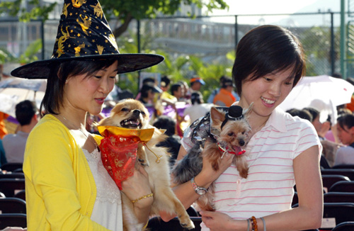  愛犬與主人均悉心打扮，參加在萬聖節舉行的寵物嘉年華活動。