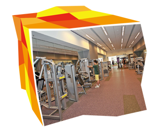 The fitness room of the Hang Hau Sports Centre