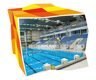 九龙公园游泳池于一九八九年九月十二日启用，适合举办国际游泳比赛。