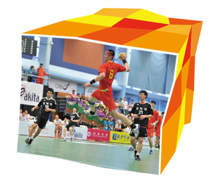 「二零一二至一三年度體育資助計劃」資助70項國際賽事，其中一項是「2012香港國際手球錦標賽」。