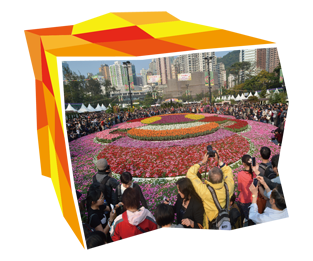 「二零一三年香港花卉展覽」的花海與人潮。
