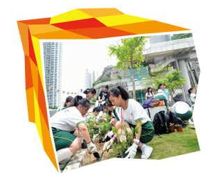 學童參與種植活動，支持「綠化香港運動」。
