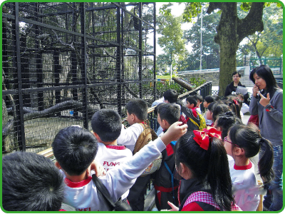 香港动植物公园的学校导赏活动让学生加深对动物的认识和提高环保意识。