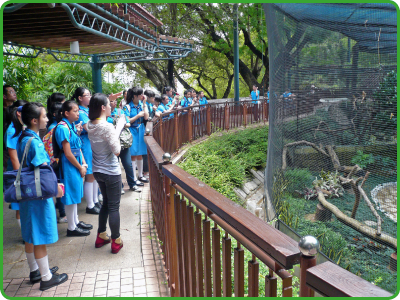 透過保育課程，女童軍對九龍公園飼養的鳥類品種有更多認識。