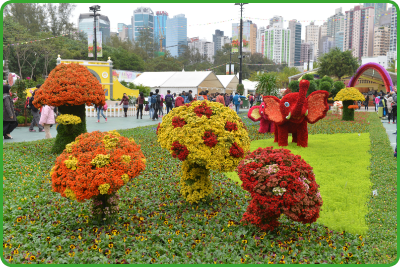 「二零一四年香港花卉展覽」的花壇繽紛悅目。