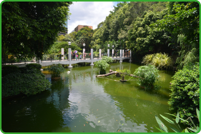 Kowloon Park, located in the heart of Tsim Sha Tsui, is the largest park in Kowloon.  