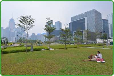 添馬公園的「綠地毯」開闊寬廣，遊人可在草地上漫步、閒坐。