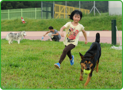 将军澳环保大道宠物公园里，小女孩与爱犬奔跑嬉戏。
