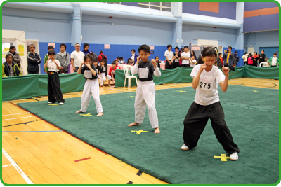 「青少年武術普及訓練計劃」是「體育資助計劃」的資助項目之一。