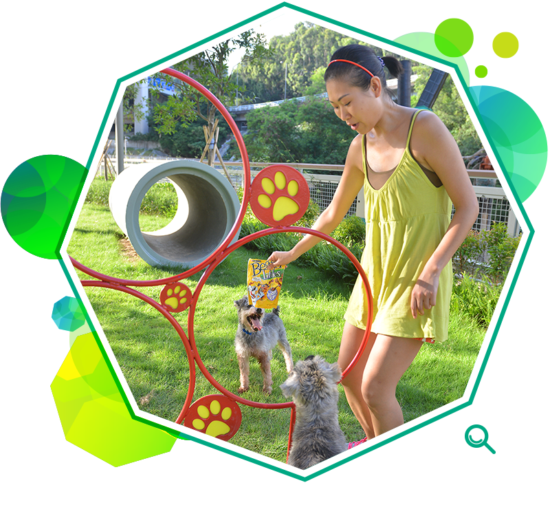 Pet gardens provide play facilities for animals, such as these jumping hoops for dogs. 