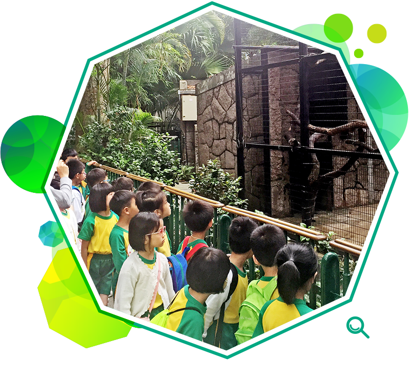 学童参与香港动植物公园导赏活动，增进对动物的认识，并更深入了解环境问题。