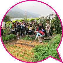員工參加園藝課程，參觀嘉道理農場暨植物園。