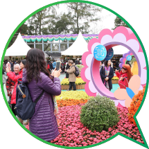 花展設有色彩鮮豔的相框，綴以花藝擺設，吸引市民在此留影。