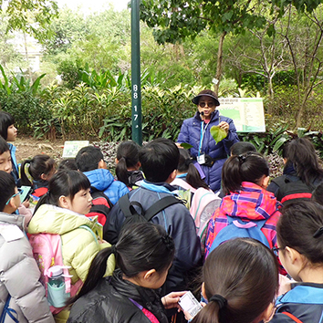 Primary school guided visit to Kowloon Park