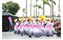 Hong Kong Schools Dance Association : Maryknoll Convent School (Chinese Dance)