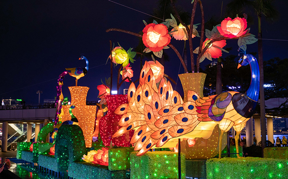 Lunar New Year Thematic Lantern Display ─ Glittering Peacocks in Full Bloom