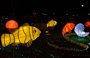 2021 Mid-Autumn Lantern Decorations - Sha Tin Park