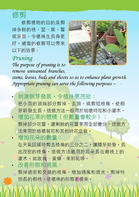 Care and Maintenance of Plants8