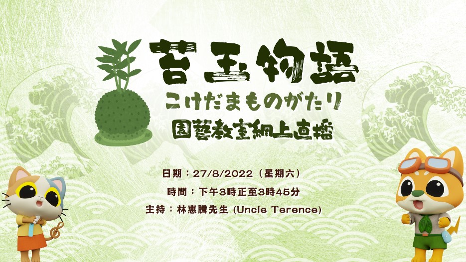 The Story about Kokedama from Japan