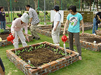社区园圃及种植研习班 3