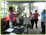 Guided Visits to Leisure and Cultural Services Department's Nurseries