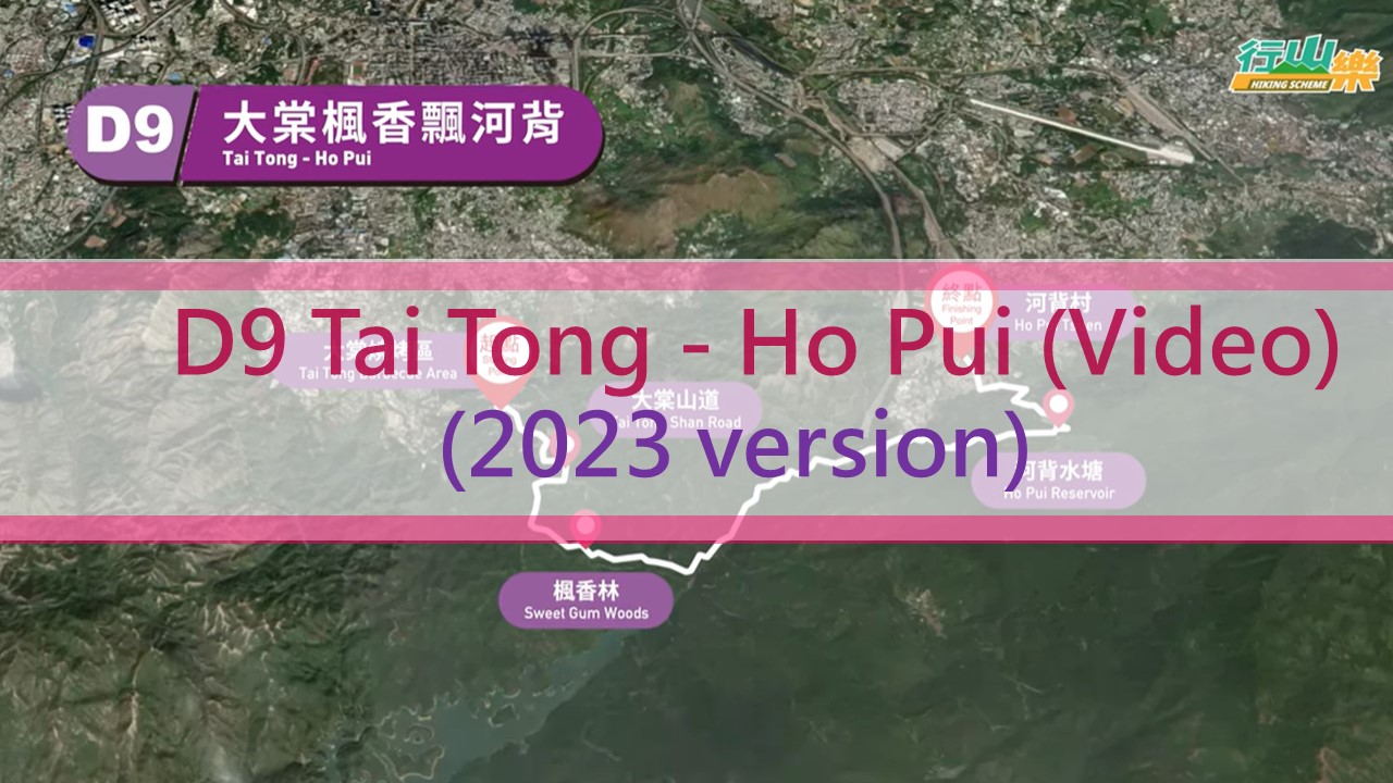 D9 Tai Tong - Ho Pui