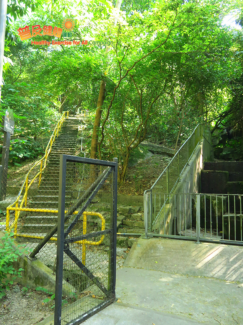 Walk up the steps to Tuen Mun Fitness Trail