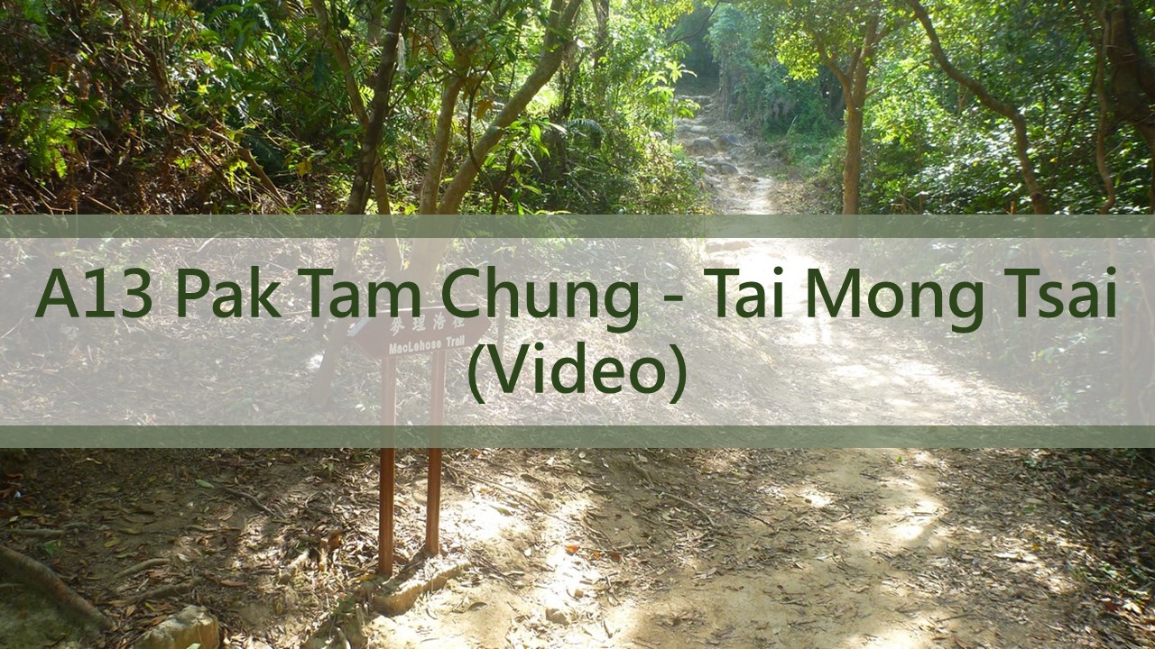 A13 - Pak Tam Chung-Tai Mong Tsai 
