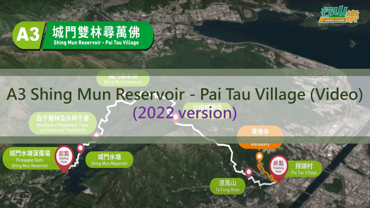 A3 - Shing Mun Reservoir – Pai Tau Village
