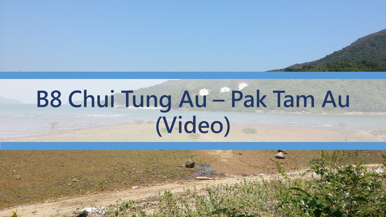 B8 - Chui Tung Au – Pak Tam Au