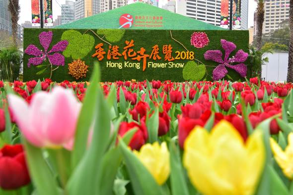 香港花卉展览立体花墙
