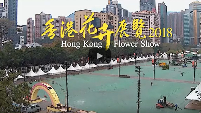 Making of the Hong Kong Flower Show 2018