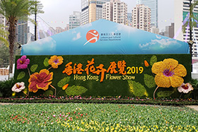 香港花卉展览花墙