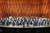 「龙腾虎跃」- 2013 香港青年管乐团周年音乐会