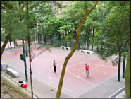  2 Basketball-cum-Volleyball Courts