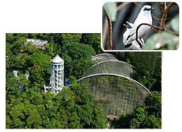 参观香港公园观鸟园