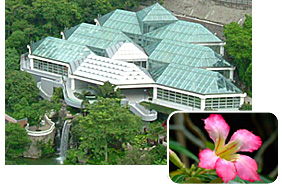 Guided Tour for Groups Hong Kong Park Conservatory
