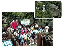 参观香港公园观鸟园