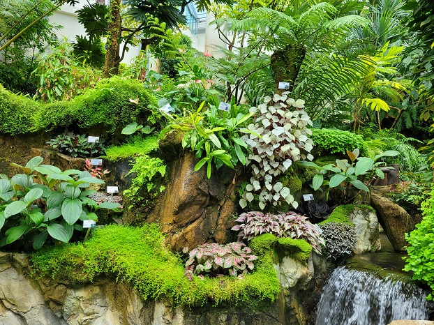霍士傑溫室熱帶植物展覽館