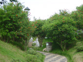 Pomegranate Path 1