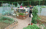 Community Garden - Gardening course