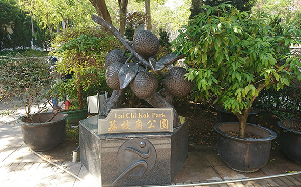 Sculpture of Lychee