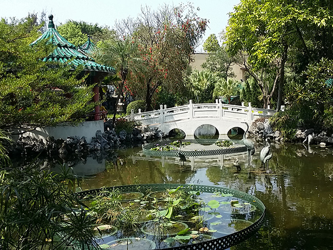 中式花園 