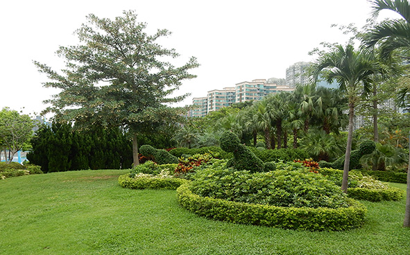 Landscape in park