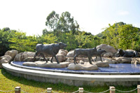  Rocky Pool with Buffalo Sculptures