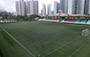 Artificial Turf Pitch