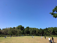 風箏放飛區