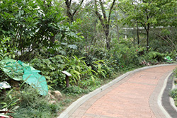 Ecological Garden